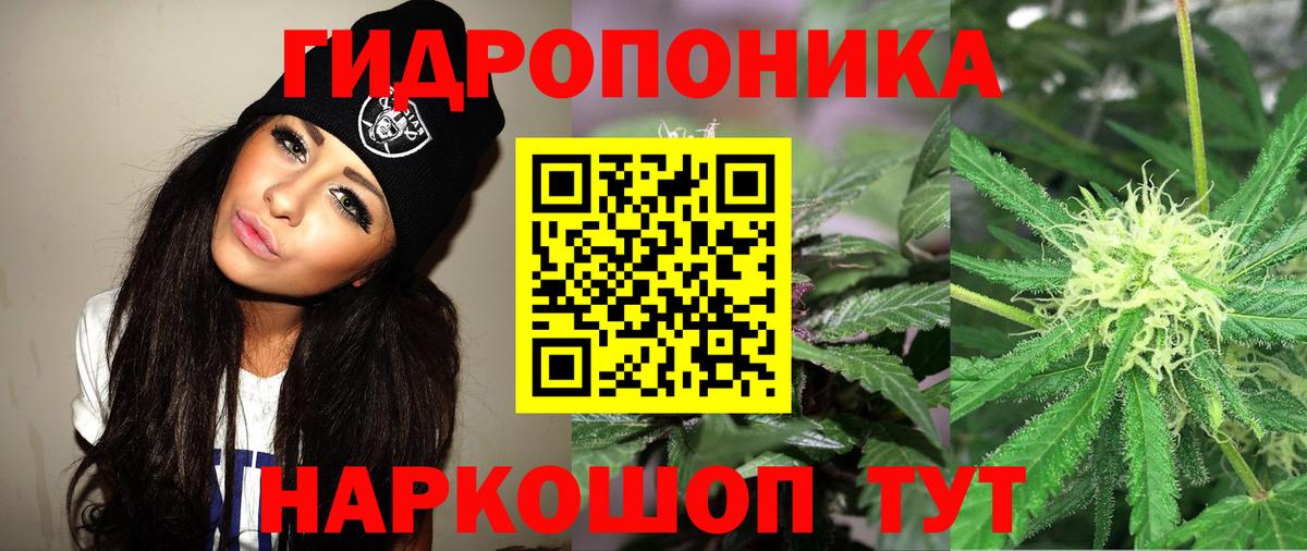 Шишки марихуана планчик  Шишки марихуана план  Вход с VPN  Екатеринбург 
